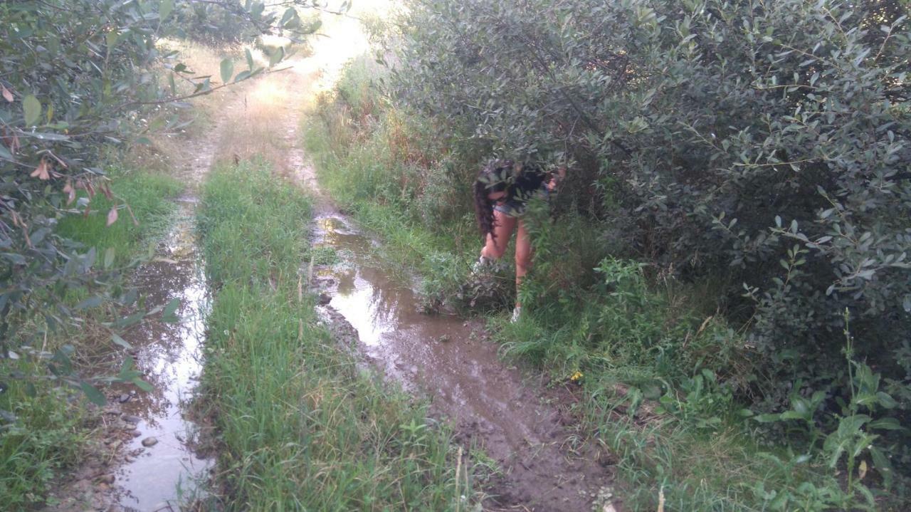 Casa Rural Abuela Tina Antonan del Valle Екстериор снимка